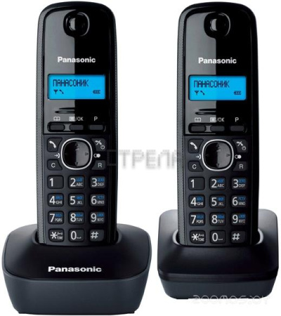 Радиотелефон Panasonic KX-TG1612 H